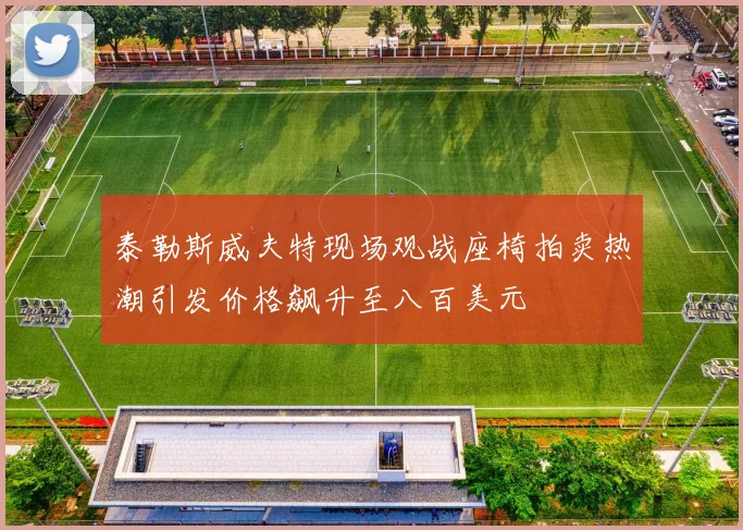 泰勒斯威夫特现场观战座椅拍卖热潮引发价格飙升至八百美元