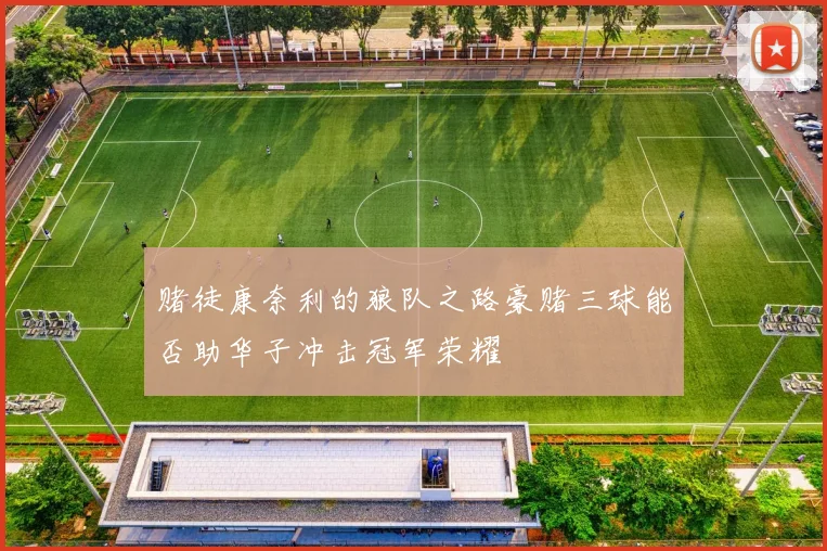 赌徒康奈利的狼队之路豪赌三球能否助华子冲击冠军荣耀